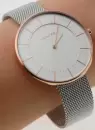 Наручные часы Skagen SKW2583 icon 3