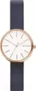 Наручные часы Skagen SKW2592 icon