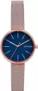 Наручные часы Skagen SKW2593 icon