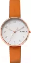 Наручные часы Skagen SKW2624 icon