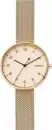 Наручные часы Skagen SKW2625 icon