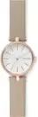 Наручные часы Skagen SKW2643 icon