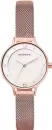 Наручные часы Skagen SKW2650 icon