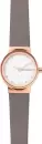 Наручные часы Skagen SKW2669 icon
