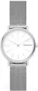 Наручные часы Skagen SKW2692 icon