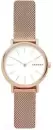 Наручные часы Skagen SKW2694 icon