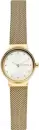 Наручные часы Skagen SKW2717 icon