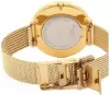 Наручные часы Skagen SKW2722 icon 2