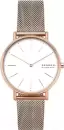 Наручные часы Skagen SKW2784 icon