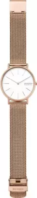 Наручные часы Skagen SKW2784 icon 2