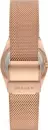 Наручные часы Skagen SKW3035 icon 3
