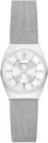 Наручные часы Skagen SKW3038 icon