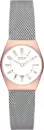 Наручные часы Skagen SKW3050 icon