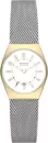 Наручные часы Skagen SKW3051 icon