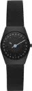 Наручные часы Skagen SKW3088 icon