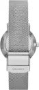 Наручные часы Skagen SKW3100 icon 2