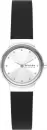 Наручные часы Skagen SKW3119 icon