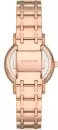 Наручные часы Skagen SKW3125 icon 2