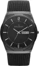 Наручные часы Skagen SKW6006 icon