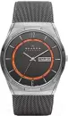 Наручные часы Skagen SKW6007 icon