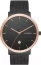 Наручные часы Skagen SKW6296 icon