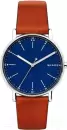 Наручные часы Skagen SKW6355 icon