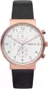 Наручные часы Skagen SKW6371 icon