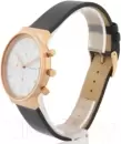 Наручные часы Skagen SKW6371 icon 3