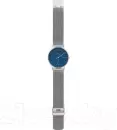 Наручные часы Skagen SKW6389 icon 2