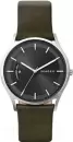 Наручные часы Skagen SKW6394 icon