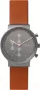 Наручные часы Skagen SKW6418 icon