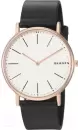Наручные часы Skagen SKW6430 icon