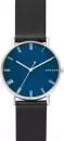 Наручные часы Skagen SKW6434 icon