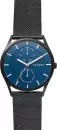 Наручные часы Skagen SKW6450 icon