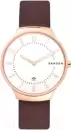 Наручные часы Skagen SKW6458 icon