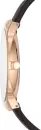 Наручные часы Skagen SKW6458 icon 2