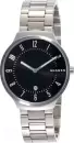 Наручные часы Skagen SKW6515 icon