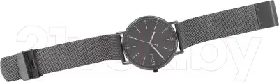 Наручные часы Skagen SKW6577 icon 3