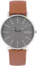 Наручные часы Skagen SKW6578 icon