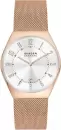 Наручные часы Skagen SKW6818 icon