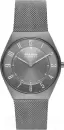 Наручные часы Skagen SKW6824 icon