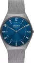 Наручные часы Skagen SKW6829 icon