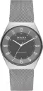 Наручные часы Skagen SKW6836 icon
