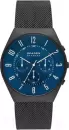 Наручные часы Skagen SKW6841 icon