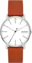 Наручные часы Skagen SKW6903 icon