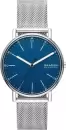 Наручные часы Skagen SKW6904 icon