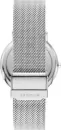 Наручные часы Skagen SKW6904 icon 2