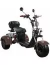 Электроскутер SKYBOARD Trike BR40-3000 Pro Fast Off-Road SKY0001304 (коричневый) icon