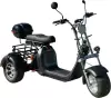 Электроскутер Smart Balance X11 Trike 2025 icon