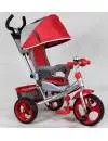 Велосипед детский Smart Trike 36056 фото 3